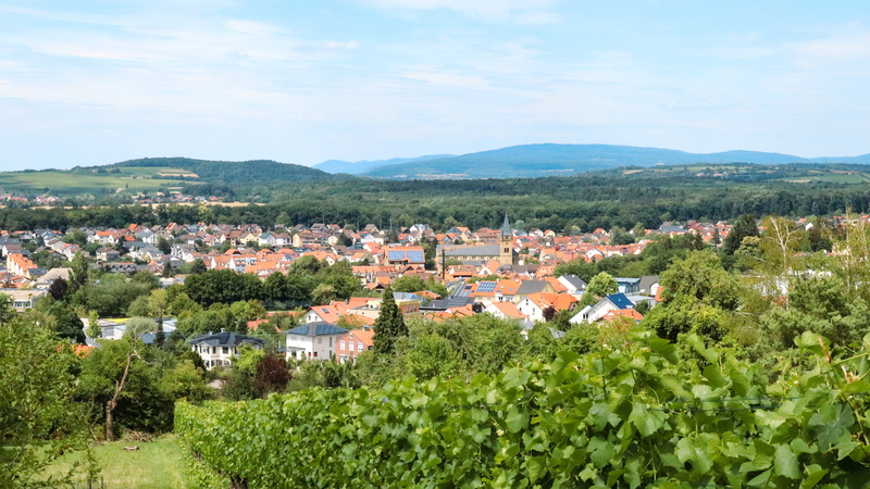 Stadtporträt Östringen